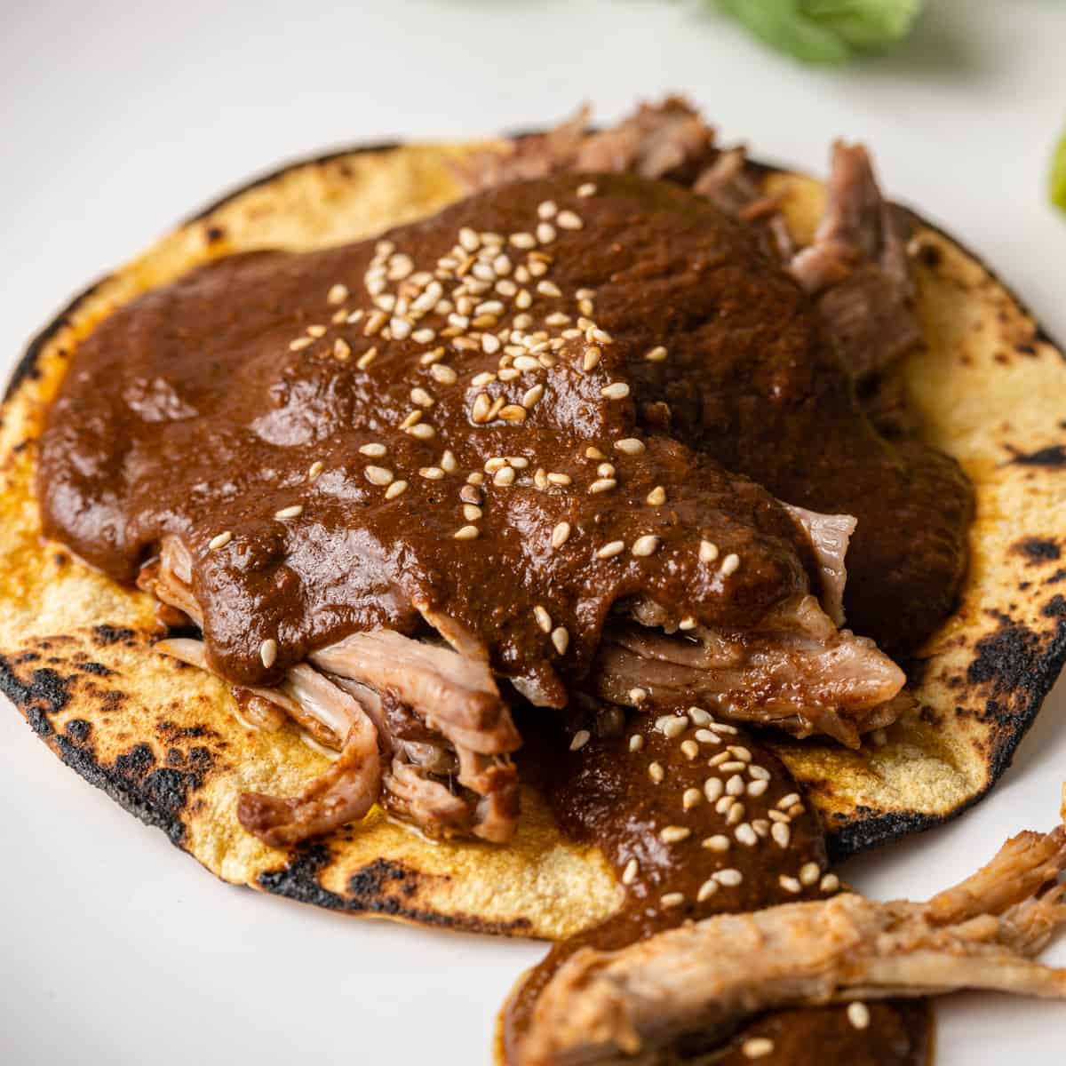 El día que el mole llegó a mi cocina sin pedir permiso